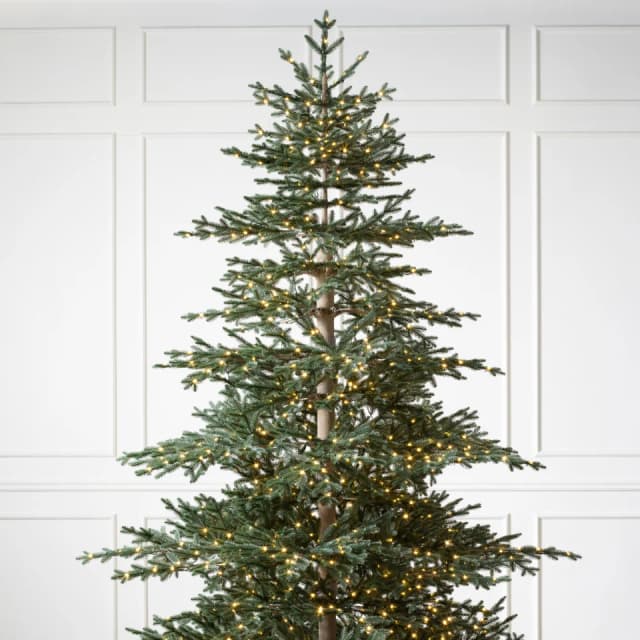 Aspen Silver Fir reNEW™ 6.5'