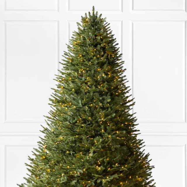 BH Balsam Fir® reNEW™ 7.5'